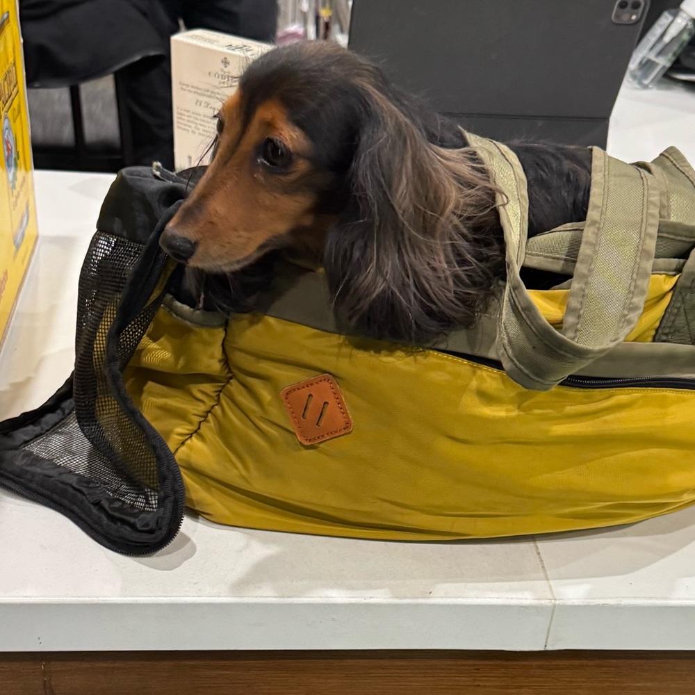 Meet your Posher, Leslie